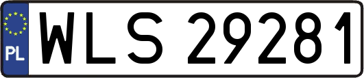 WLS29281