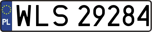 WLS29284