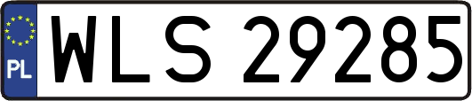 WLS29285