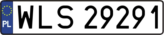 WLS29291