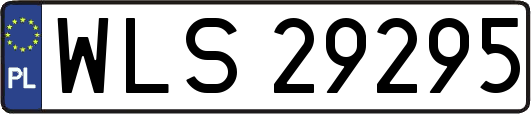 WLS29295