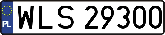 WLS29300