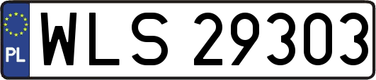 WLS29303
