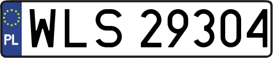 WLS29304