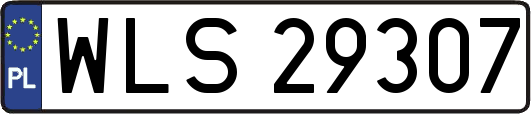 WLS29307