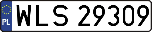 WLS29309