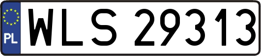 WLS29313