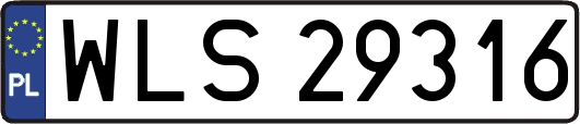 WLS29316