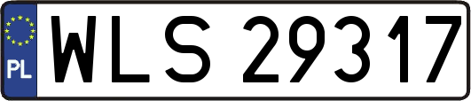 WLS29317