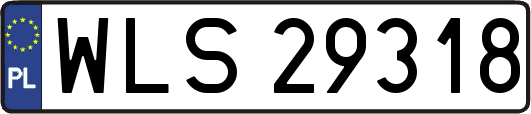 WLS29318