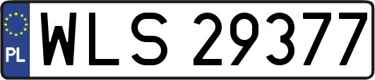 WLS29377