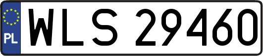 WLS29460