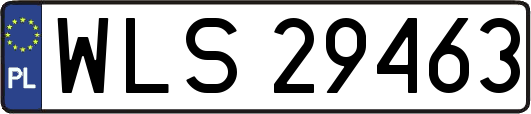 WLS29463