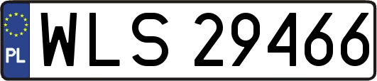 WLS29466