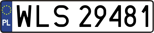 WLS29481