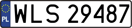 WLS29487