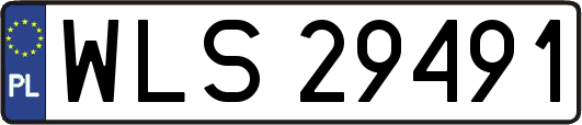 WLS29491