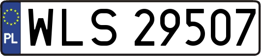 WLS29507