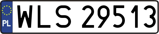 WLS29513