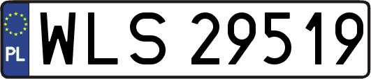 WLS29519