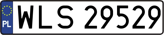 WLS29529