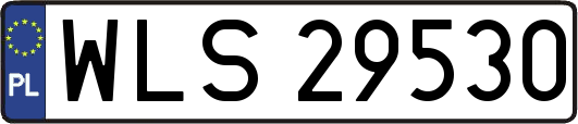 WLS29530