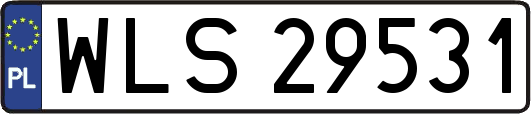 WLS29531