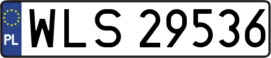 WLS29536