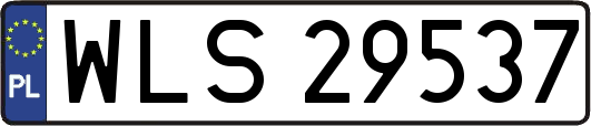 WLS29537
