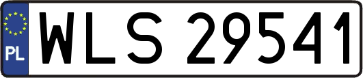 WLS29541