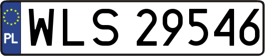 WLS29546