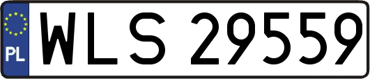 WLS29559