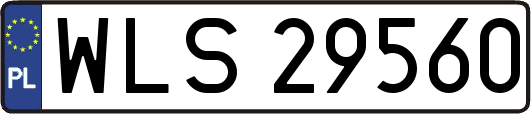 WLS29560
