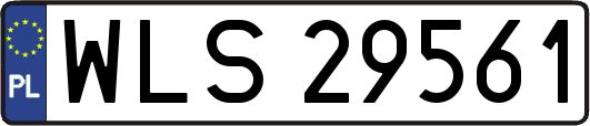 WLS29561