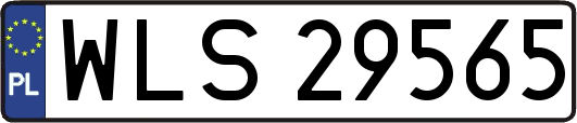 WLS29565