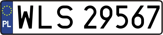 WLS29567