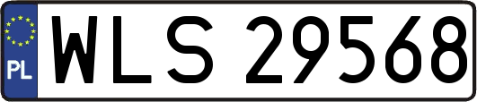 WLS29568