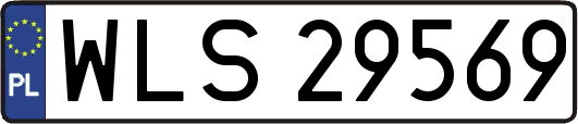 WLS29569