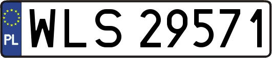 WLS29571