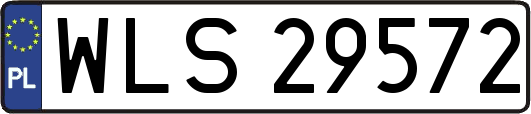 WLS29572
