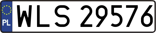 WLS29576