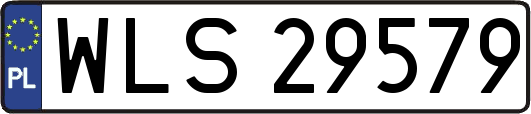 WLS29579