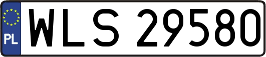 WLS29580