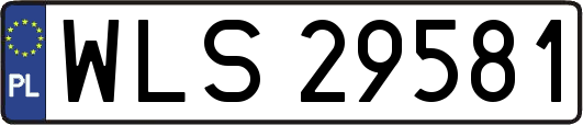 WLS29581