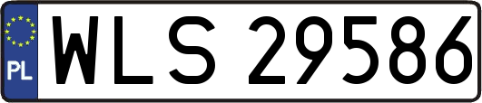 WLS29586