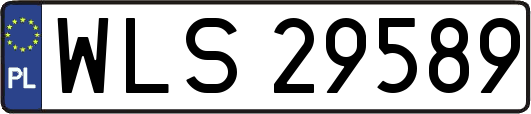 WLS29589