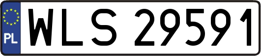 WLS29591