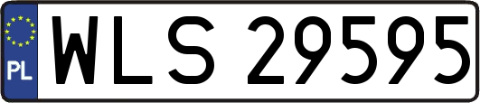 WLS29595