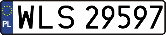 WLS29597