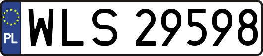 WLS29598